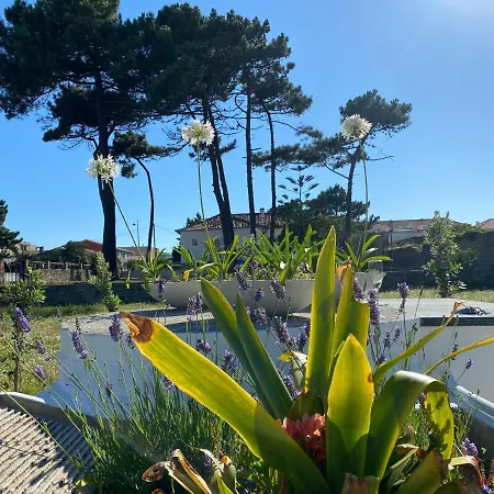 House With Swimming Pool Vila do Conde